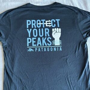 Patagonia Responsibili-Tee NWOT